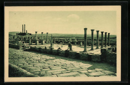 CPA Timgad, Marche De Sertius Et Capitols  - Alger