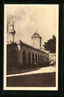 CPA Bone, La Grande Mosquee  - Annaba (Bône)