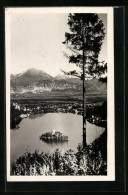 AK Letovisce Bled, Panoramablick Mit Der Insel Und Dem Gebirge Dahinter  - Slovenia