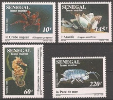 Senegal - 1998 - Marine Life - Yv 826/29 - Meereswelt