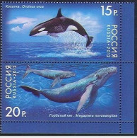 Russia - 2012 - Whale - Yv 7278/79 - Baleines