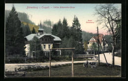 AK Bärenburg I. Erzgeb., Hotel Bärenburg Und Julius Alexander-Haus  - Autres & Non Classés