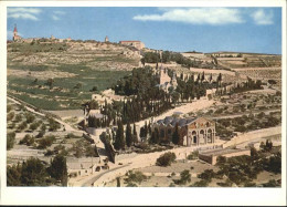 70915148 Jerusalem Yerushalayim Jerusalem Church Gethsemane Gethsemani Kirche *  - Israel