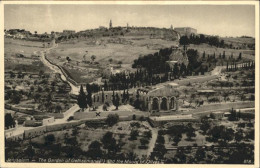70915087 Jerusalem Yerushalayim Jerusalem Garden Gethsemane Mount Olivers *  - Israel