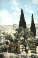 70914968 Jerusalem Yerushalayim Jerusalem Gethsemany Gethsmane  *  - Israel