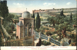 70914906 Jerusalem Yerushalayim Jerusalem Jardin Gethsemanie Garden Gethsemane H - Israel