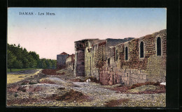 AK Damas / Damaskus, Les Murs, Stadtmauer  - Siria