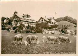 13961069 Goldiwil Hotel Pension Bluemlisalp - Autres & Non Classés