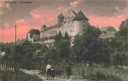 13960899 Porrentruy_JU Château Schloss - Andere & Zonder Classificatie