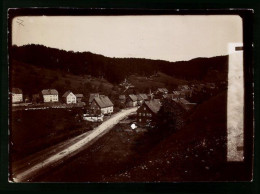 Fotografie Brück & Sohn Meissen, Ansicht Lerbach / Harz, Blick In Den Ort Mit Wohnhäusern  - Places