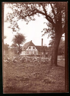 Fotografie Brück & Sohn Meissen, Ansicht Mauna, Blick übers Feld Auf Die Mühle Mauna  - Places