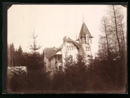 Fotografie Brück & Sohn Meissen, Ansicht Marienbad, Blick Auf Die Villa Wald-Idylle  - Orte