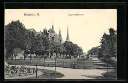 AK Rostock I. M., Wallpromenade, Grünanlage  - Rostock