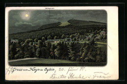 Mondschein-Lithographie Oybin, Forsthaus Hayn Mit Umgebung Aus Der Vogelschau  - Caza