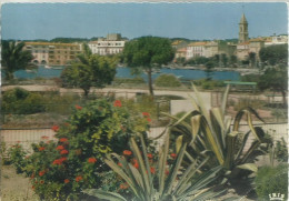 Sanary - Les Jardins Et Le Port - (P) - Sanary-sur-Mer