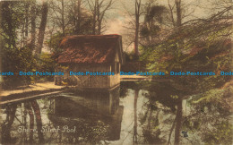 R651669 Shere. Silent Pool. F. Frith. No. 53373. 1921 - Monde