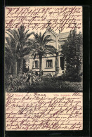 Cartolina Nervi, Villa Adelaide  - Sonstige & Ohne Zuordnung