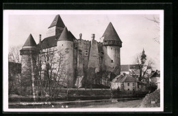 AK Heidenreichstein, Blick Auf Schloss  - Autres & Non Classés