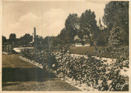 CABOURG . Le Jardin Public - Cabourg