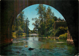 CLECY . Paysage Pris Sous L'arche Du Pont De Vey - Clécy