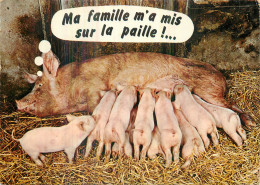 Ma Famille M'a Mise Sur La Paille .  Humour Animaux . Une Belle Mère ! - Humour