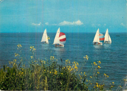 LA NORMANDIE PITTORESQUE .  YACHTING - Autres & Non Classés