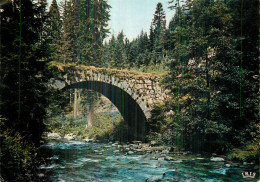 GERARDMER . Le Pont Des Fées - Gerardmer