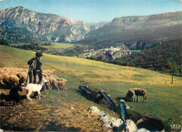 Le Pont De L'Artuby .  GORGES DU VERDON - Autres & Non Classés