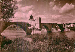 AVIGNON . Le Pont St-Bénézet . - Avignon (Palais & Pont)