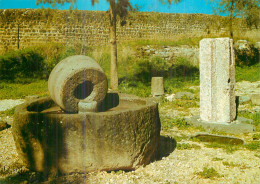 Capharnaum Ancien Pressoir à Olive - Israël