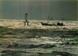 TROUVILLE . Retour De Pêche Au Crépuscule - Trouville