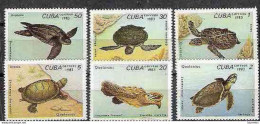 7477  Sea Turtles - Tortues Marines - Yv 2462-67 MNH - Cb - 1,45 . -- - Turtles