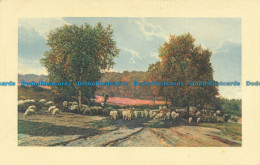 R652852 Sheep In The Field. S. S. B. Serie 7106. Postcard - Monde