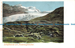 R652448 Schafheerde Am Findelengletscher. Gebr. Wehrli. Louis Glaser - Monde