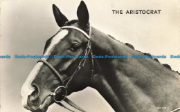 R652500 The Aristocrat. Valentine. RP. 1960 - World