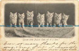 R651859 Seven Little Pussie Cats All In A Row. The Wrench Series. No. 1007. Land - World