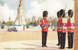 R651863 Changing Sentries At Buckingham Palace. J. Salmon - World