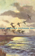 R652524 Lake. Migratory Birds Are Flying. A. Vivian Mansell. Series 2145 - World