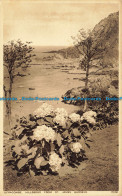 R652525 Ilfracombe. Hillsboro From St. James Gardens. Photochrom. 1937 - World