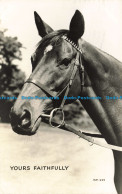 R652534 Your Faithfully. Horse. Valentine. RP. 1960 - World
