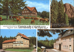 72371755 Tambach-Dietharz Berghotel Ebertswiese Falkenstein Rodebachmuehle Tamba - Tambach-Dietharz