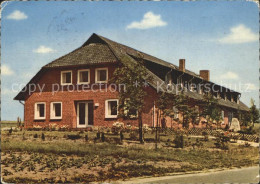 72370830 Behringen Bispingen Haus Heidhof Behringen Bispingen - Sonstige & Ohne Zuordnung