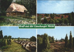 72370457 Lueneburger Haide Schafe Huette Heide Lueneburger Haide - Walsrode