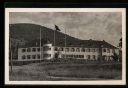 AK Annweiler, NS-Gauschule, Flagge  - Autres & Non Classés