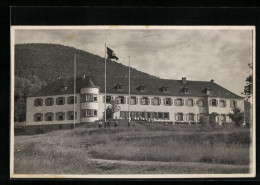 AK Annweiler, NS-Gauschule Im Sommer, Flagge  - Other & Unclassified