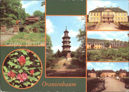 72369211 Oranienbaum Chinesisches Teehaeuschen Pagode Schloss Westseite Oranienb - Sonstige & Ohne Zuordnung