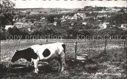 72369020 Schin Geul Viehweide Kuh Schin Geul - Andere & Zonder Classificatie