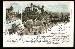 Lithographie Mylau, Kaiserschloss, Gastzimmer Im Schloss, Schlosshof  - Mylau