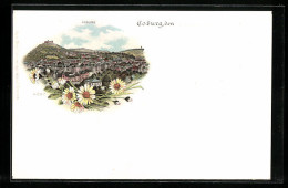 Lithographie Coburg, Panoramablick Auf Die Stadt  - Coburg