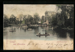 AK Dresden, Kgl. Zwingerteich Mit Ruderbooten  - Dresden